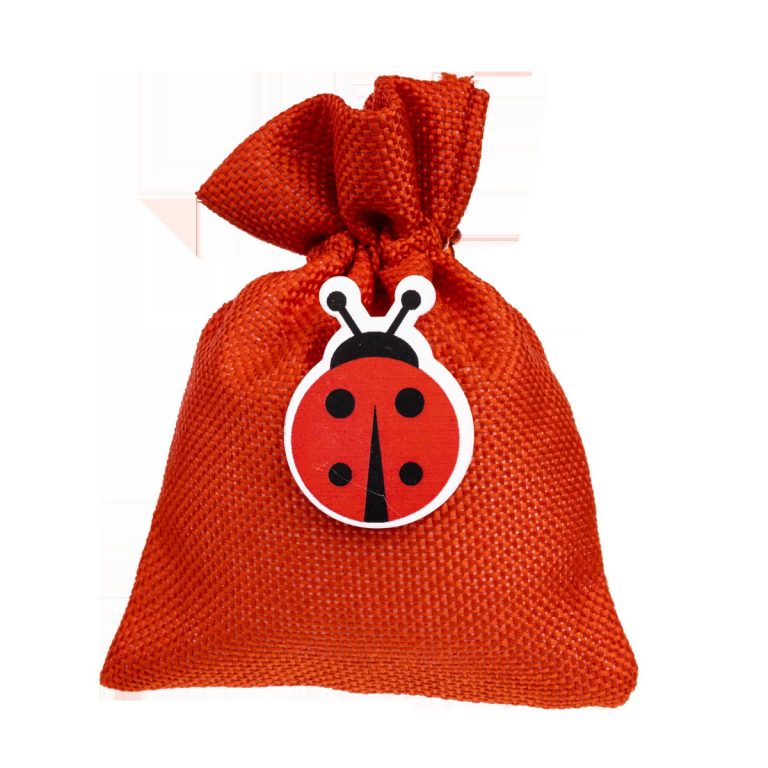 SACCHETTO CON APPL. IN LEGNO COCCINELLA