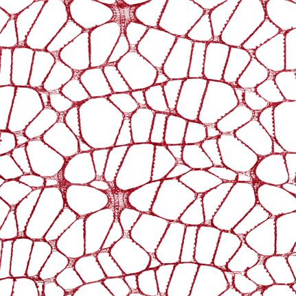 POLYCOTTON VELO QUADRATO 24 X 24 CM