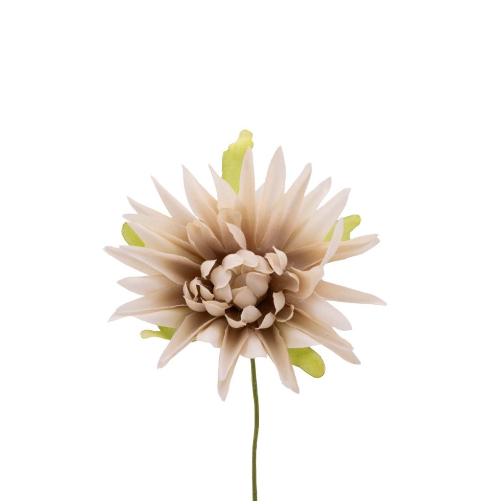 DALIA DIAMETRO MIS. 7 X 10