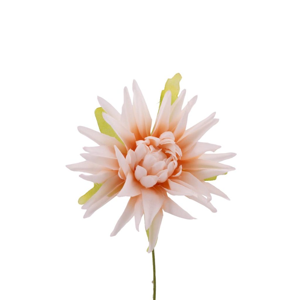 DALIA DIAMETRO MIS. 7 X 10