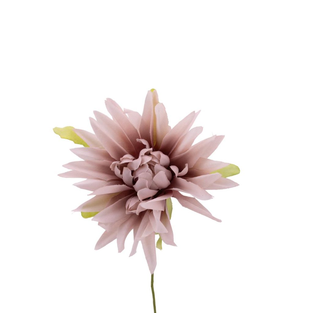 DALIA DIAMETRO MIS. 7 X 10