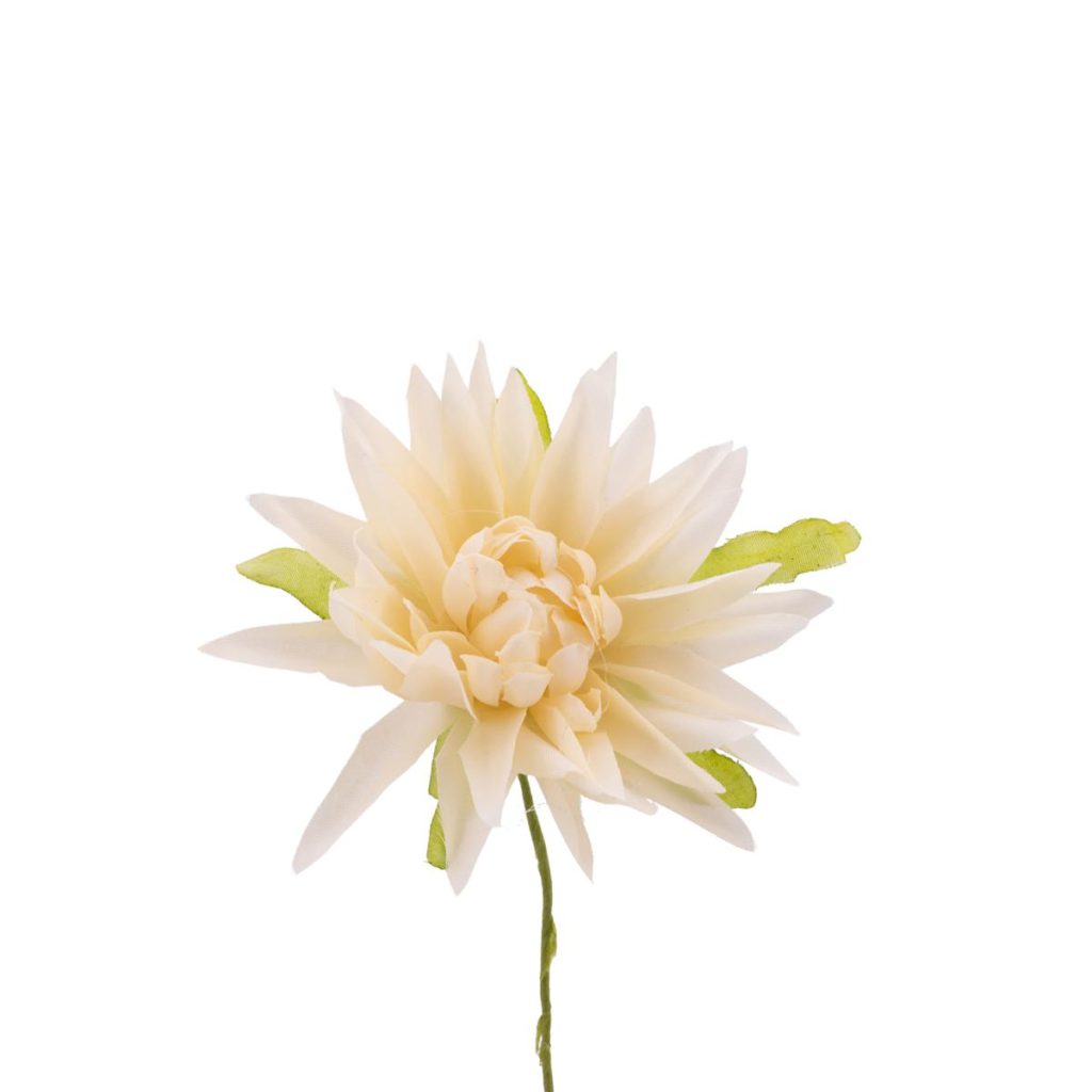 DALIA DIAMETRO MIS. 7 X 10