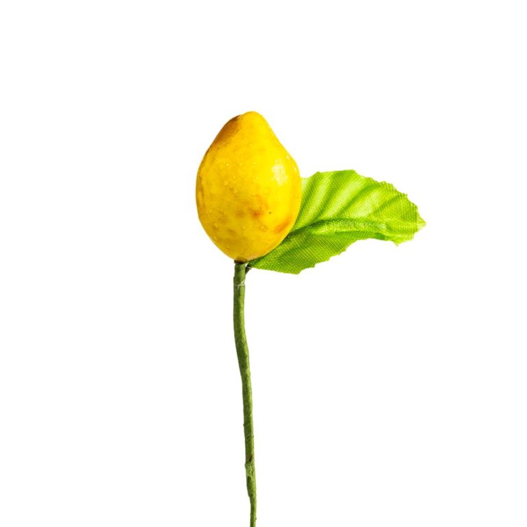 LIMONE CON FOGLIA FIORE ARTIFICIALE