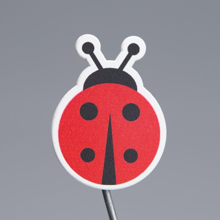 LEGNETTO CON ADESICO COCCINELLA 3X4