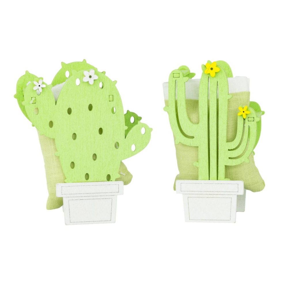 SCATOLA LEGNO CACTUS CON SACCHETTO MIX