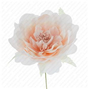 FIORE ARRT. ORTENSIA SINGOLA