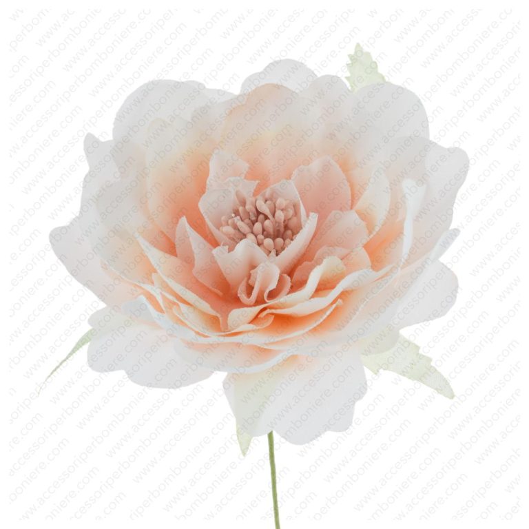 FIORE ARRT. ORTENSIA SINGOLA