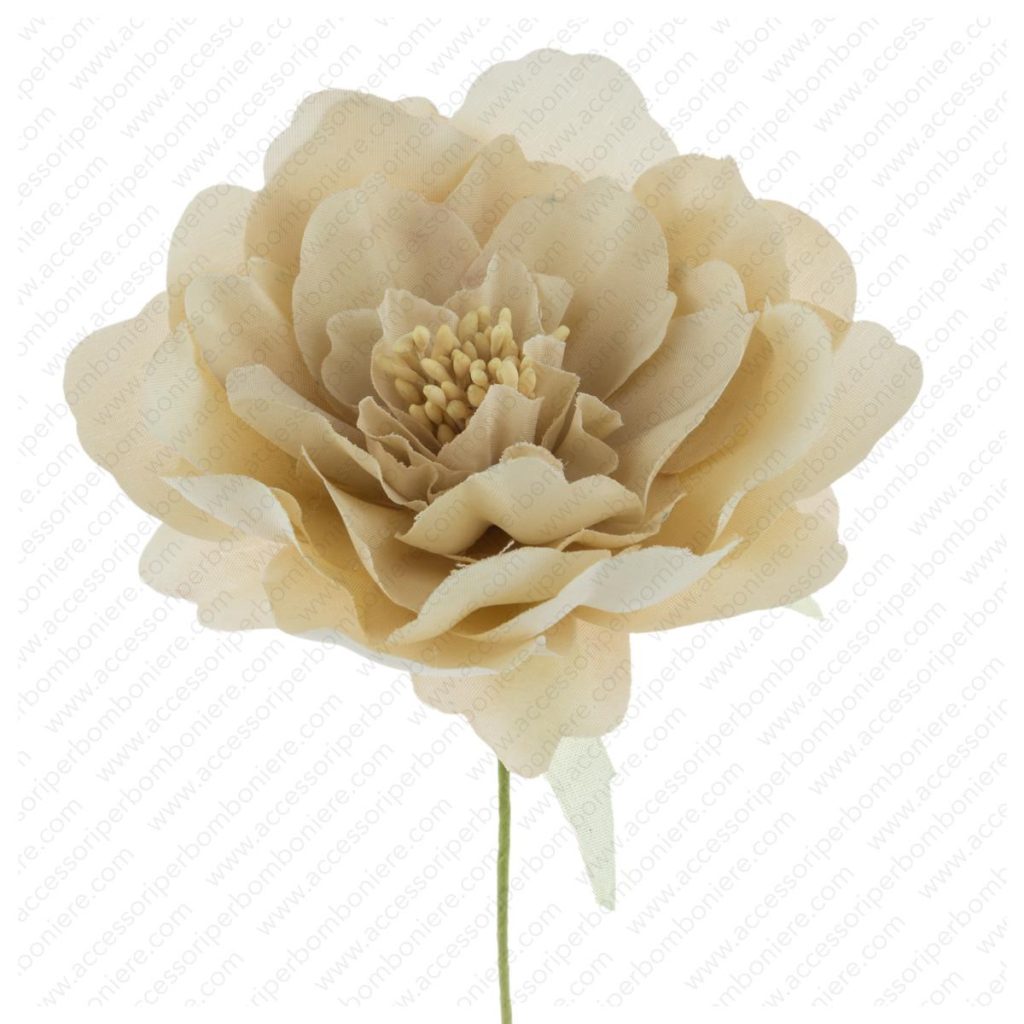 FIORE ARRT. ORTENSIA SINGOLA