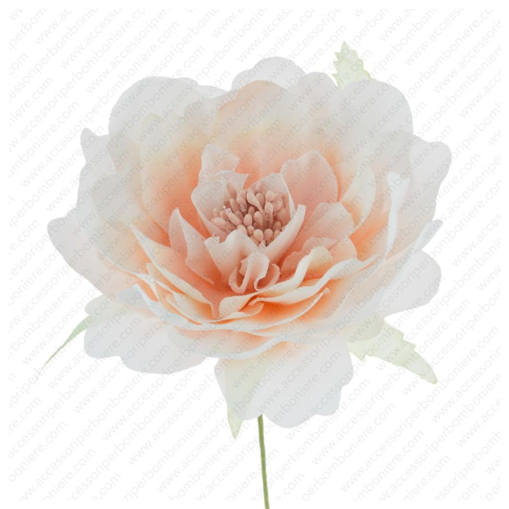 FIORE ARRT. ORTENSIA SINGOLA