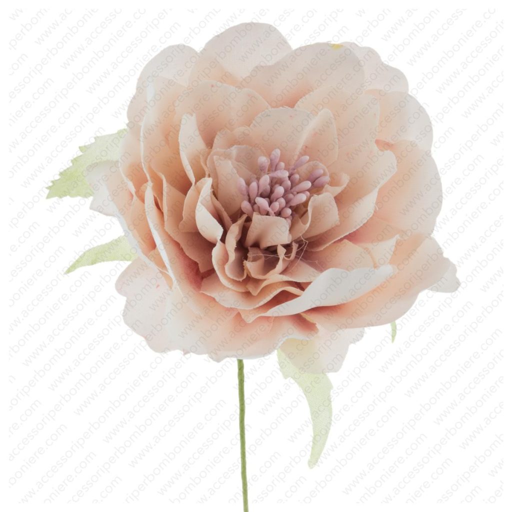 FIORE ARRT. ORTENSIA SINGOLA