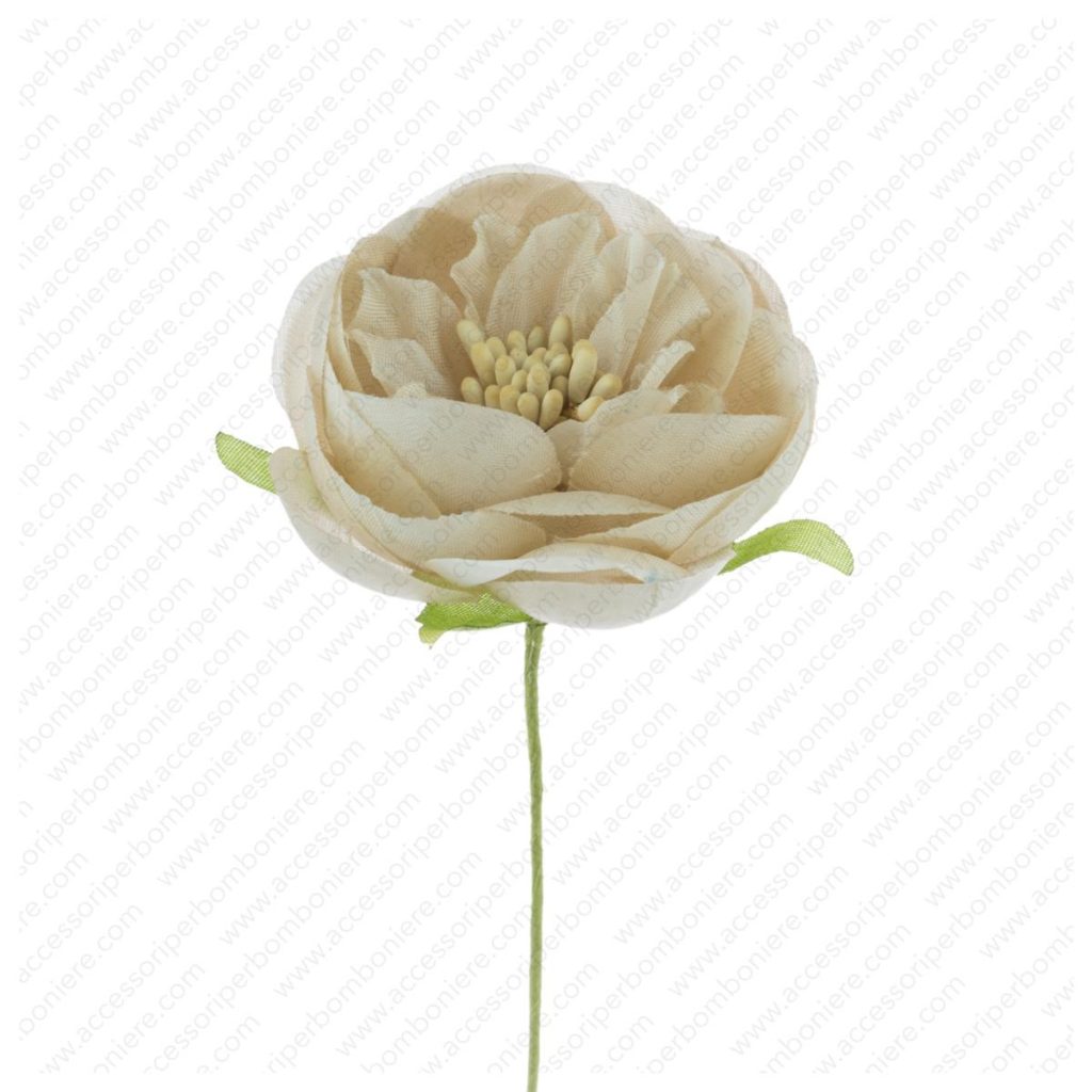 FIORE ART. RANUNCOLO APERTO