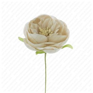 FIORE ART. RANUNCOLO APERTO