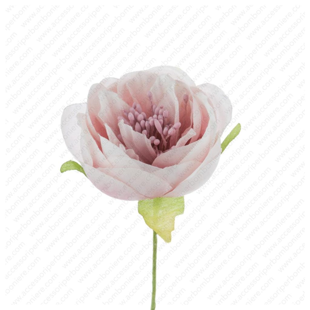 FIORE ART. RANUNCOLO APERTO