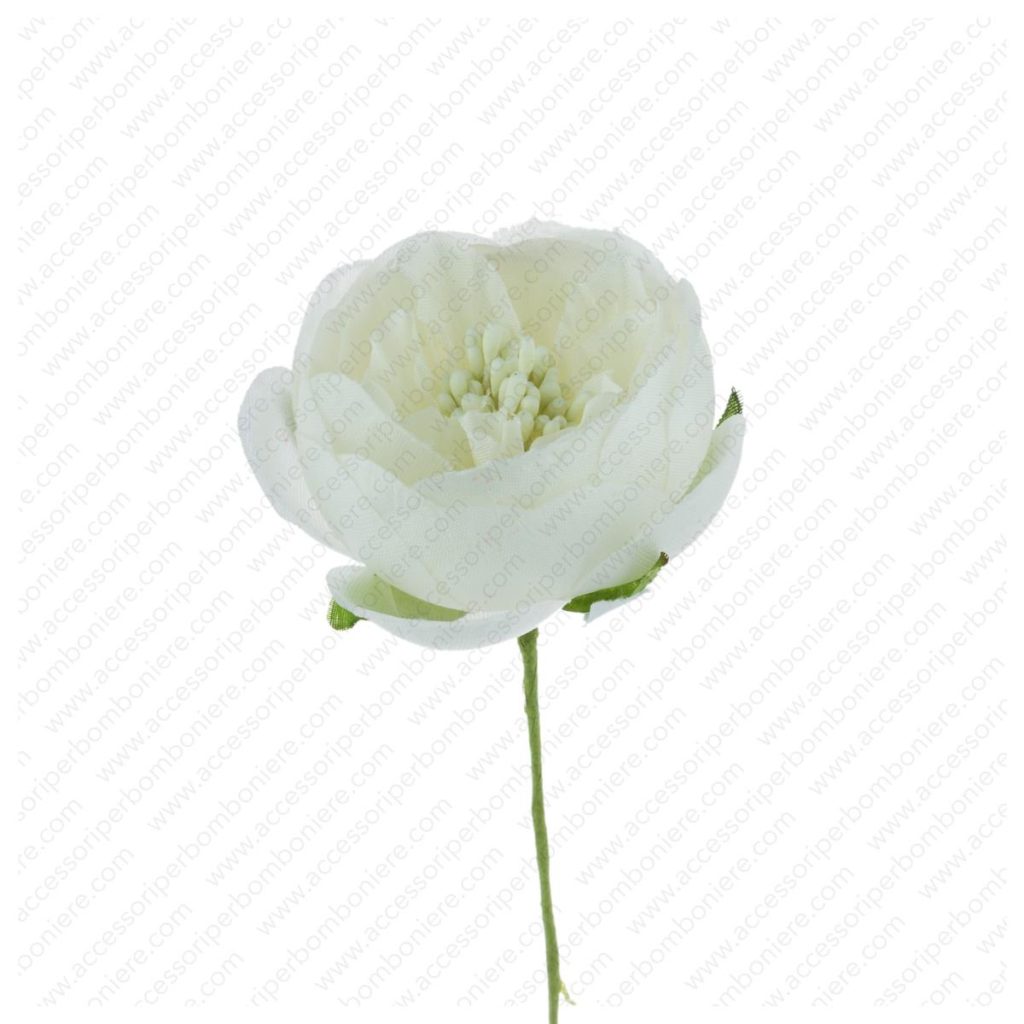 FIORE ART. RANUNCOLO APERTO