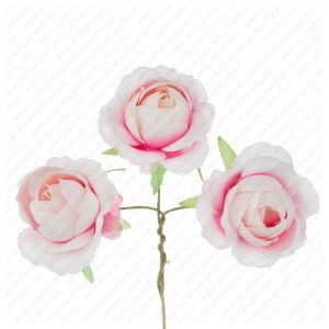 FIORE ART. ROSETTA