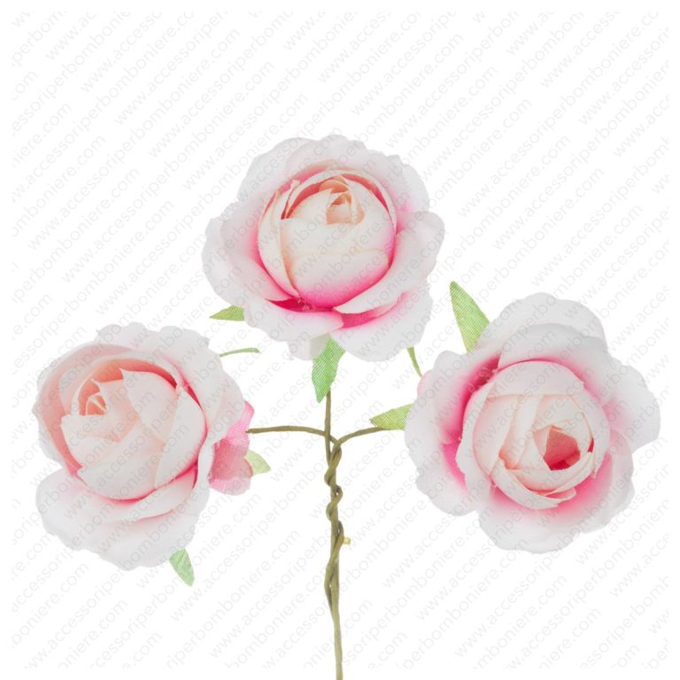 FIORE ART. ROSETTA