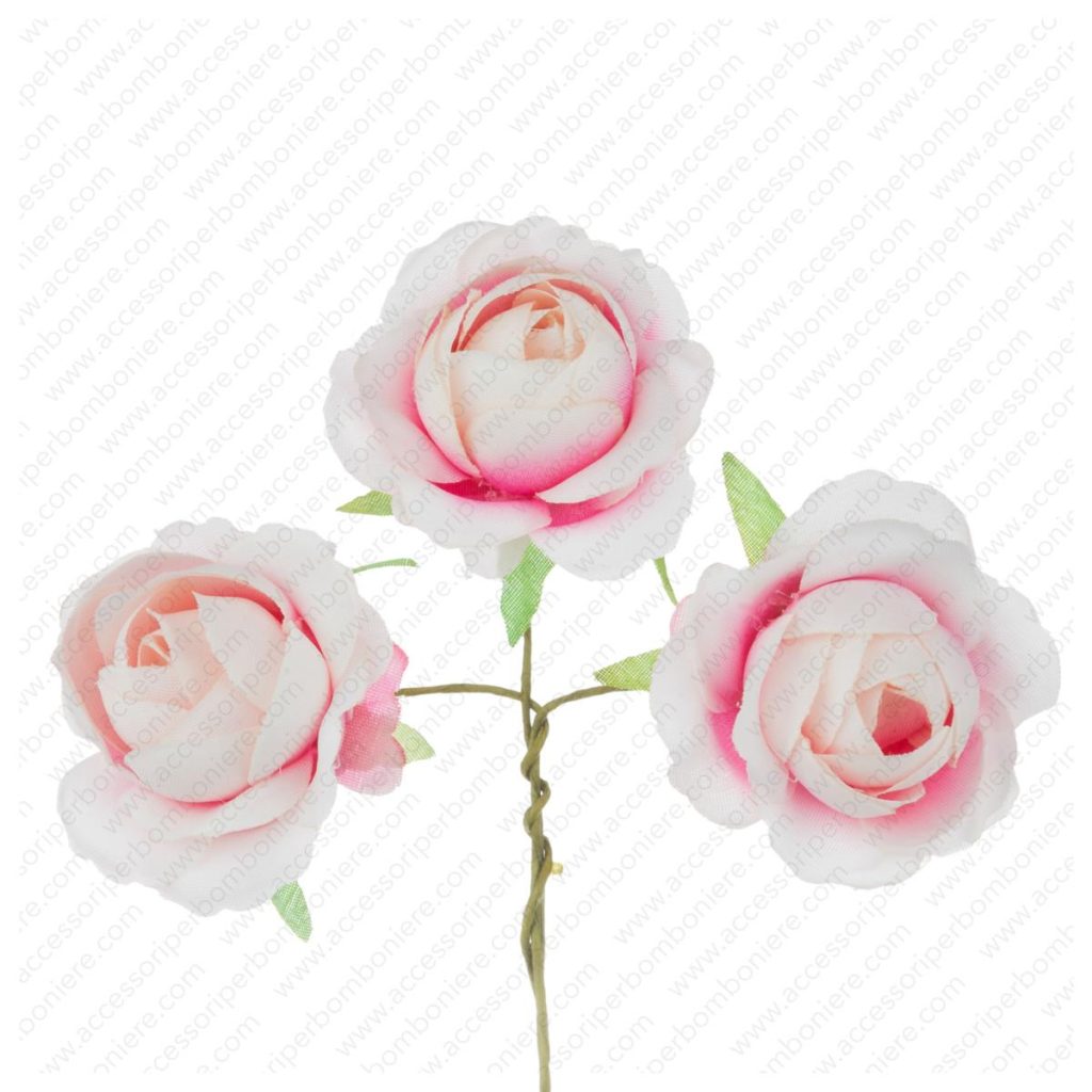 FIORE ART. ROSETTA