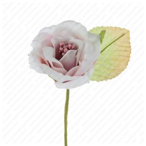FIORE ART. ROSA APERTA CON PISTILLI E FOGLIA