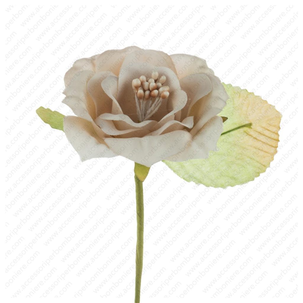 FIORE ART. ROSA APERTA CON PISTILLI E FOGLIA