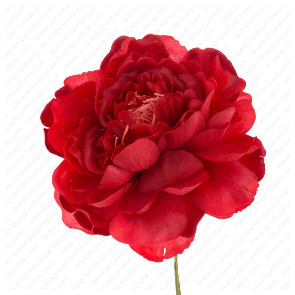 FIORE ART. CAMELIA GRANDE