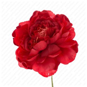 FIORE ART. CAMELIA GRANDE