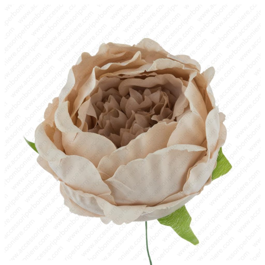 FIORE ART. RANUNCOLO CHIUSO