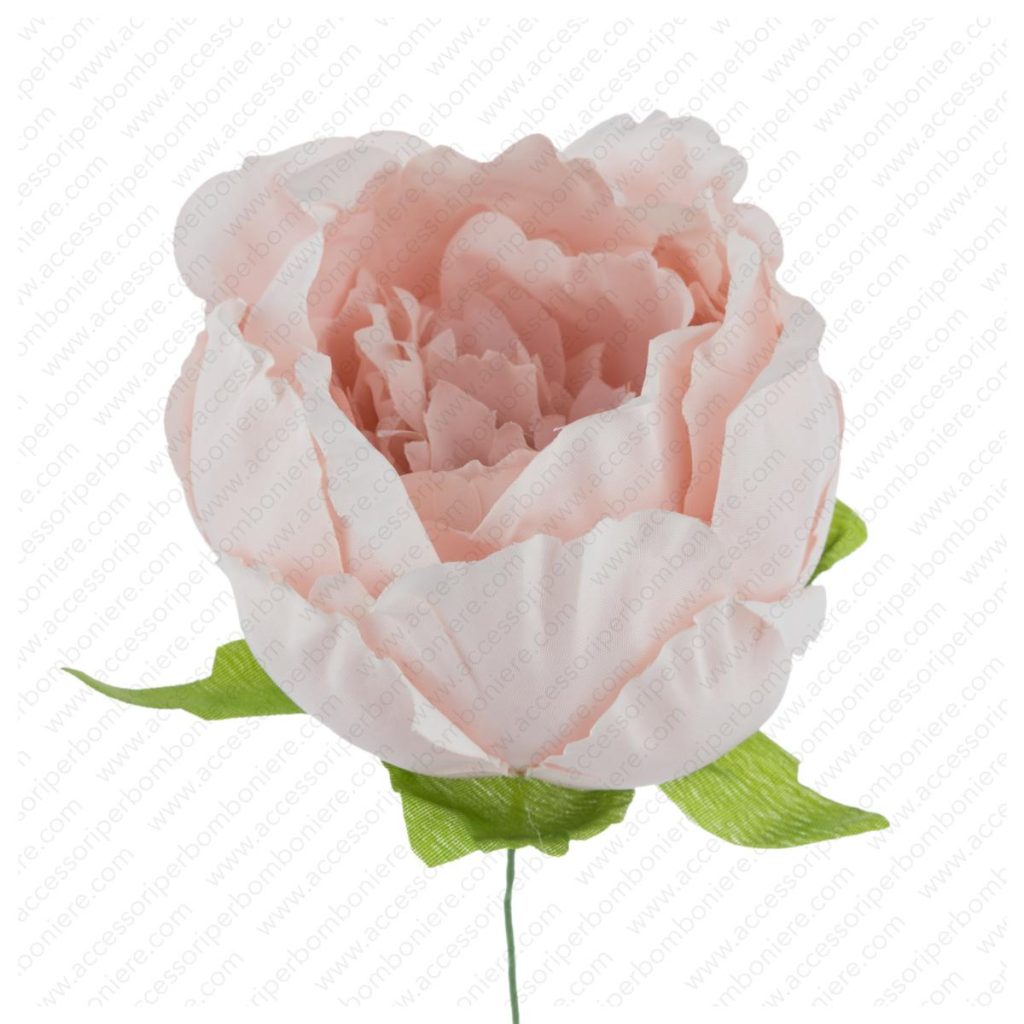 FIORE ART. RANUNCOLO CHIUSO