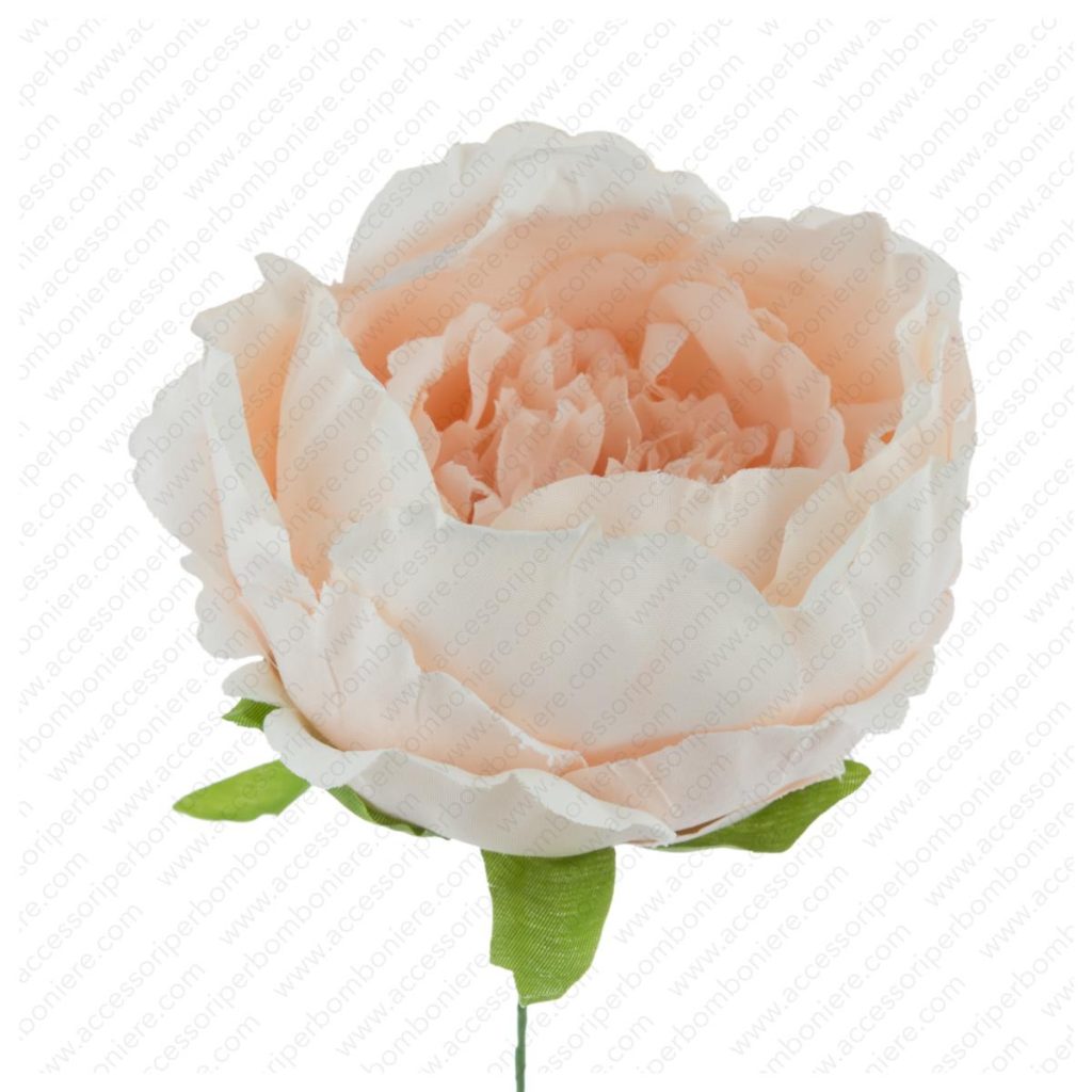 FIORE ART. RANUNCOLO CHIUSO