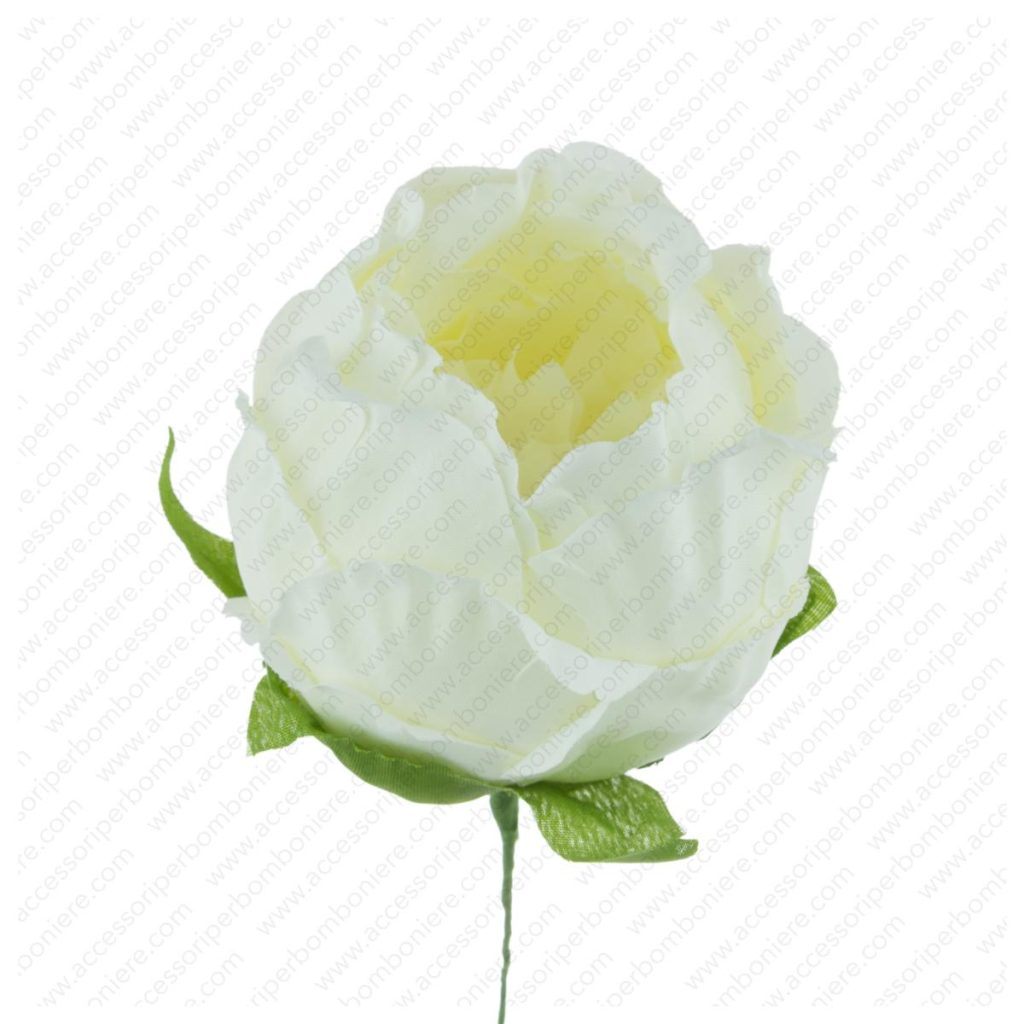 FIORE ART. RANUNCOLO CHIUSO