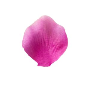 PETALO FIORE ARTIFICIALE 200 PZ