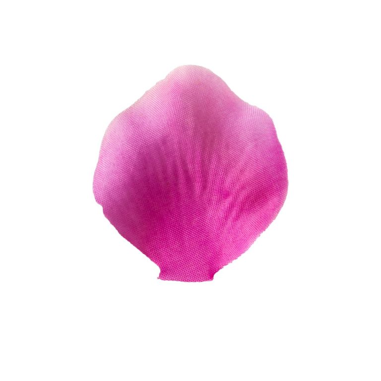 PETALO FIORE ARTIFICIALE 200 PZ