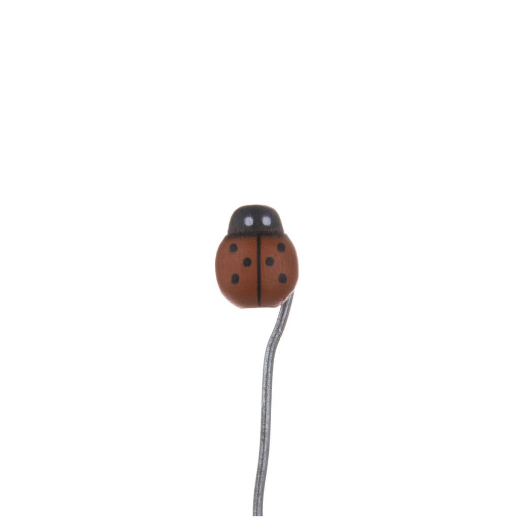 COCCINELLA 1,5 X 1,5