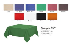 TOVAGLIA TNT 140 X 140 GR. 45