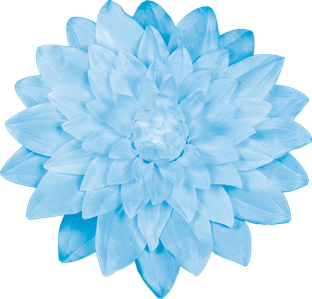 DALIA DIAM. 50 CM