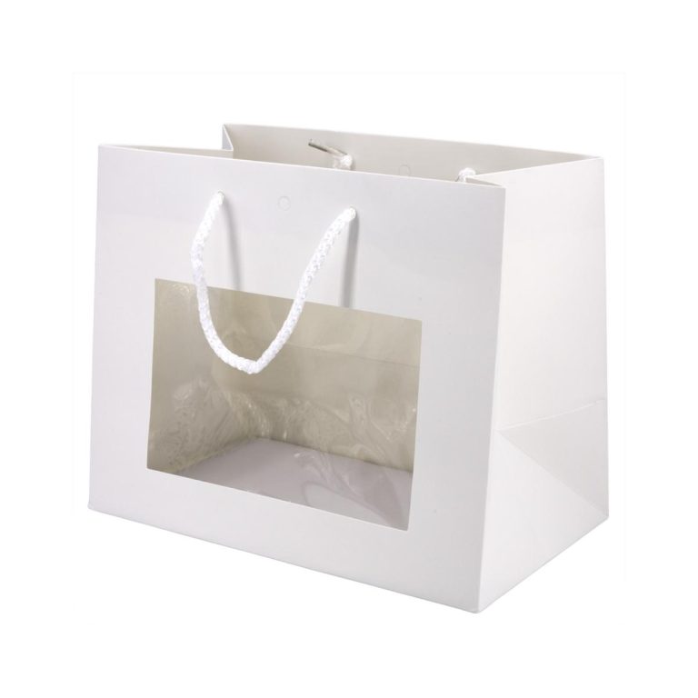 BORSETTA PLASTICA MIS. 24X14X20