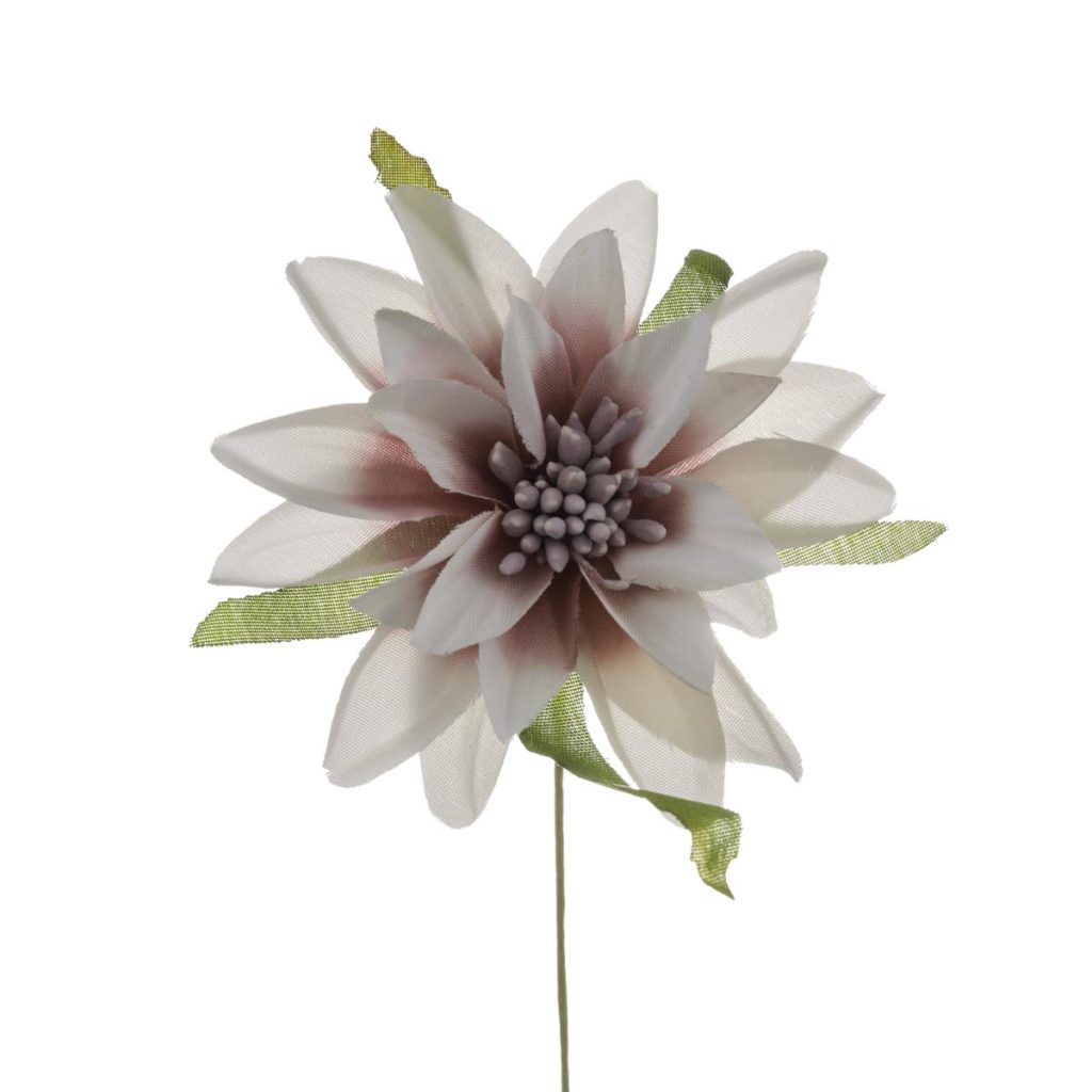 DALIA PICCOLA DIAM. 6 CM