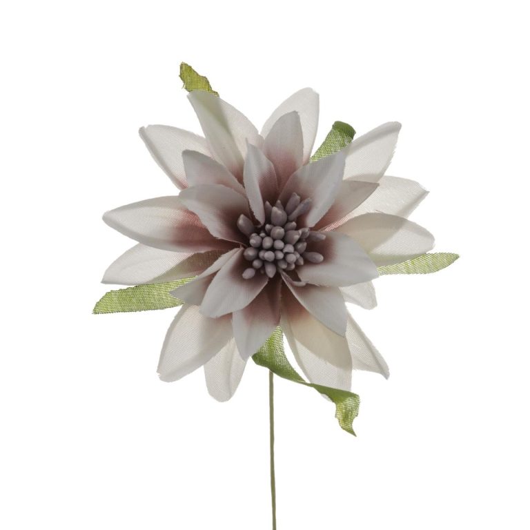 DALIA PICCOLA DIAM. 6 CM