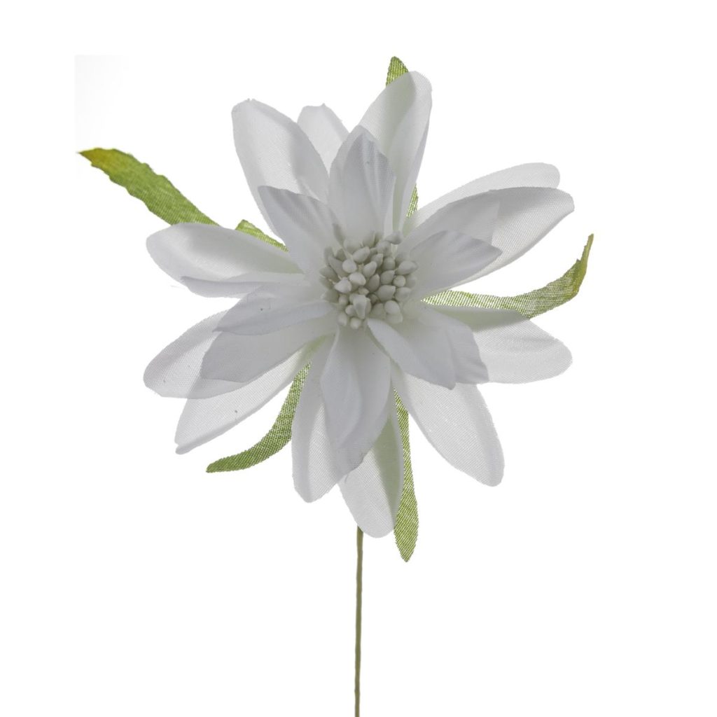 DALIA PICCOLA DIAM. 6 CM