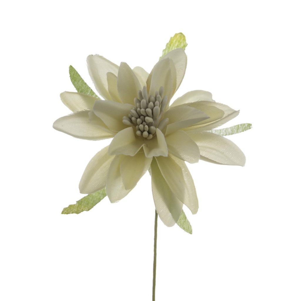 DALIA PICCOLA DIAM. 6 CM