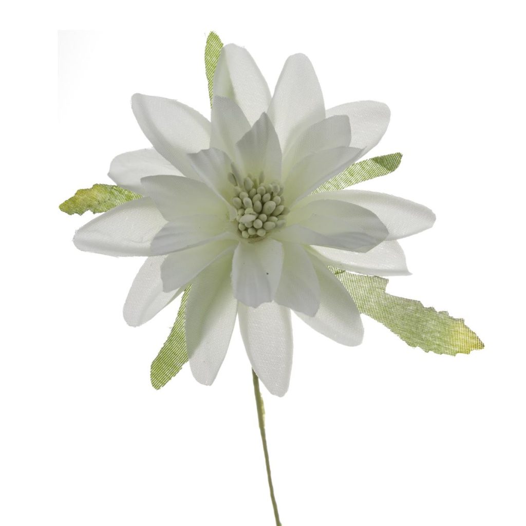 DALIA PICCOLA DIAM. 6 CM