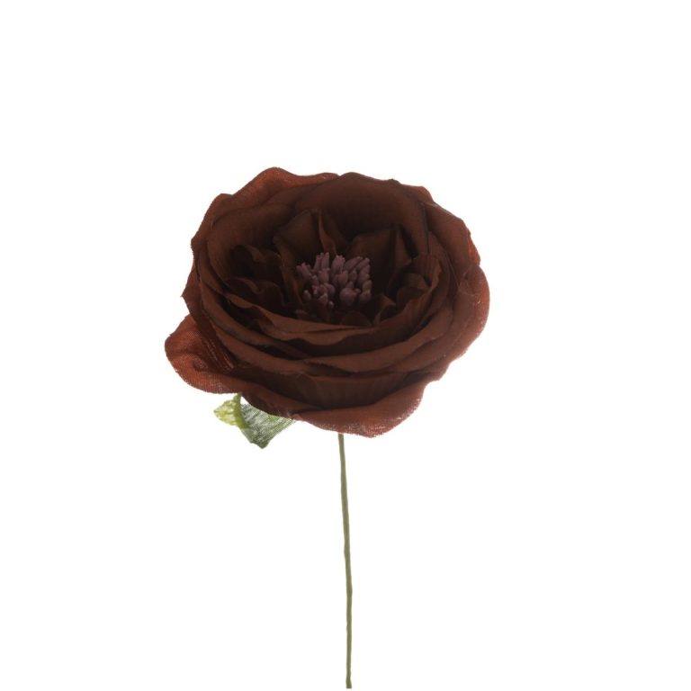 ROSA MEDIA DIAM 7