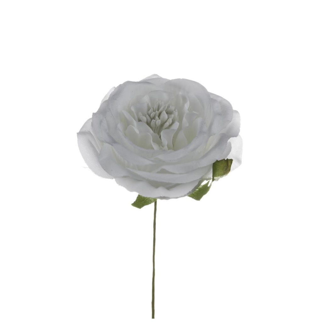 ROSA MEDIA DIAM 7