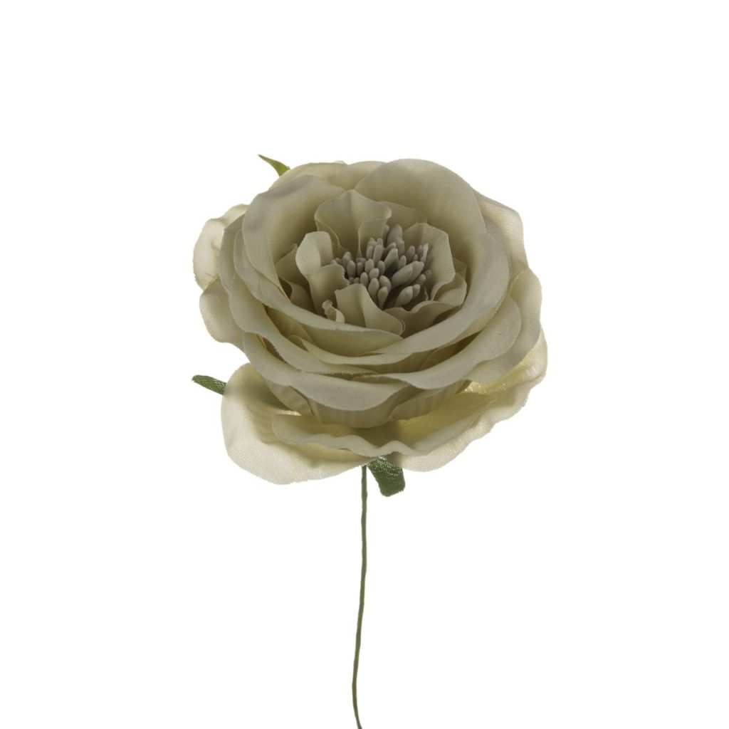 ROSA MEDIA DIAM 7