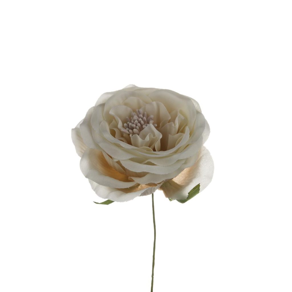 ROSA MEDIA DIAM 7