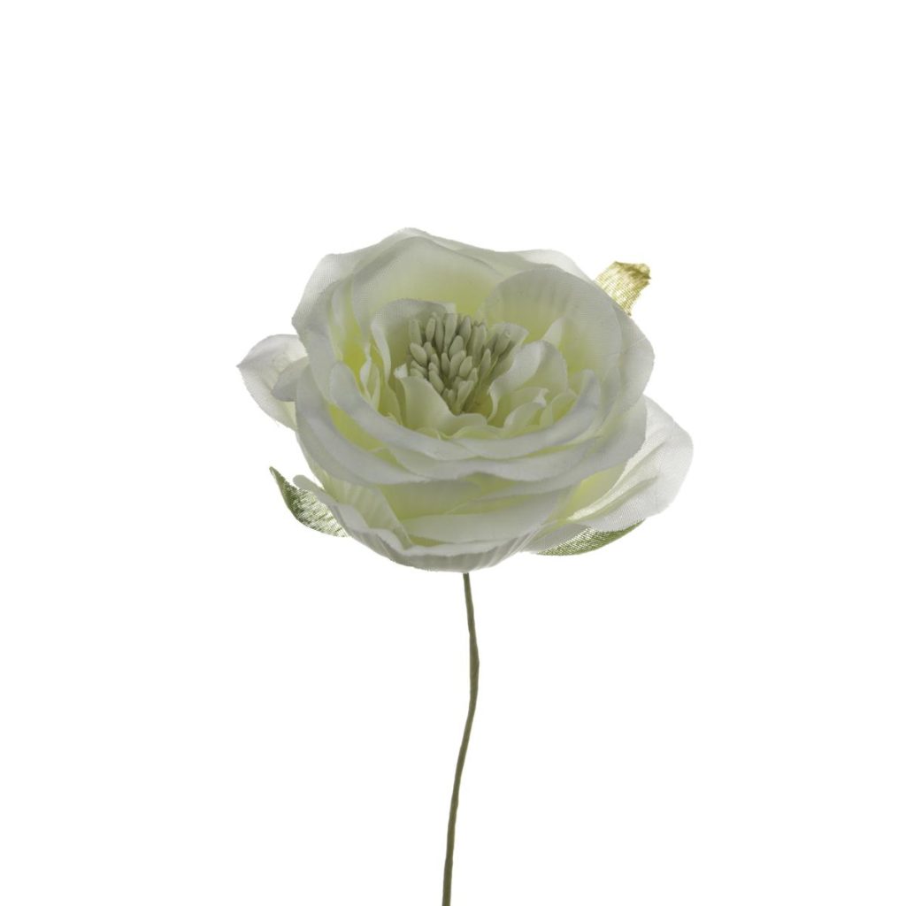 ROSA MEDIA DIAM 7