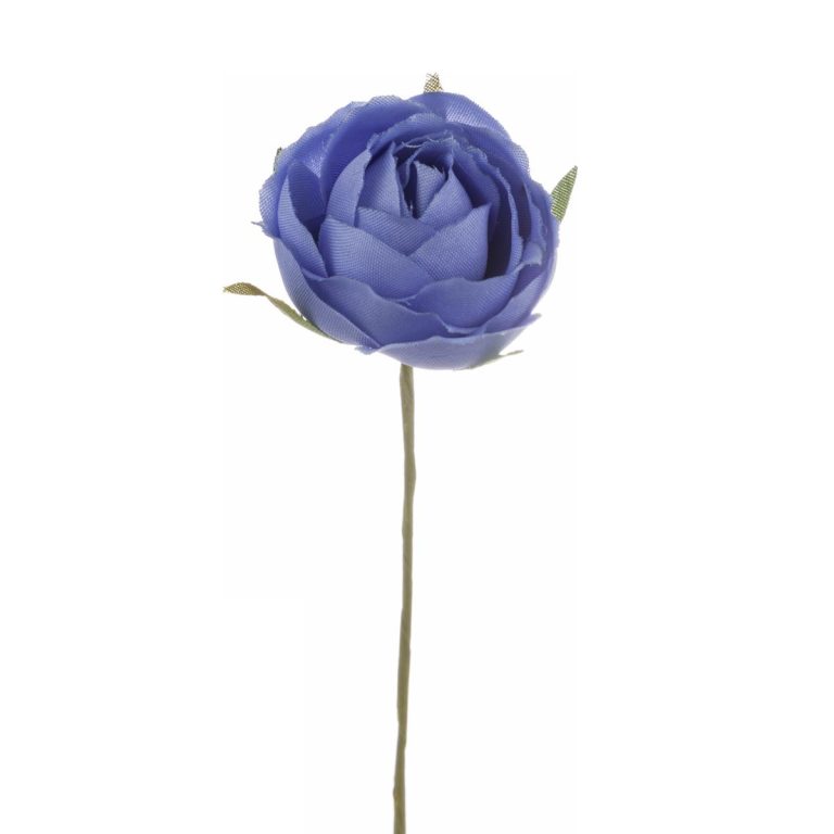ROSELLINA PICCOLA DIA. 3