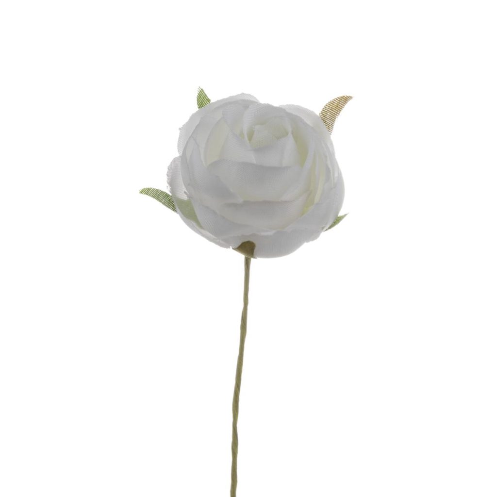 ROSELLINA PICCOLA DIA. 3