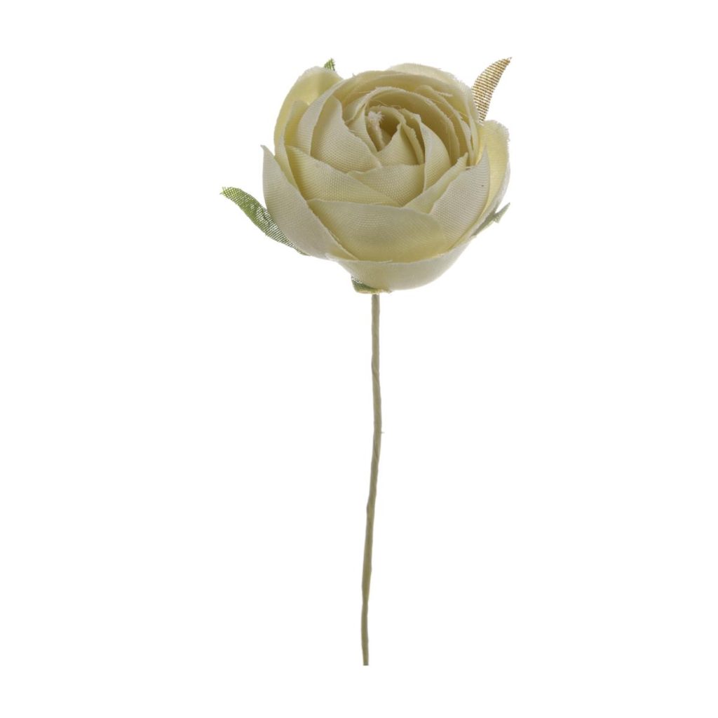 ROSELLINA PICCOLA DIA. 3