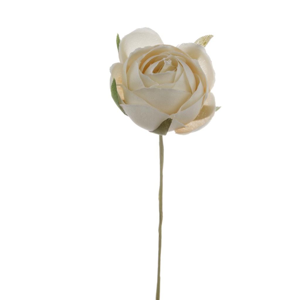 ROSELLINA PICCOLA DIA. 3