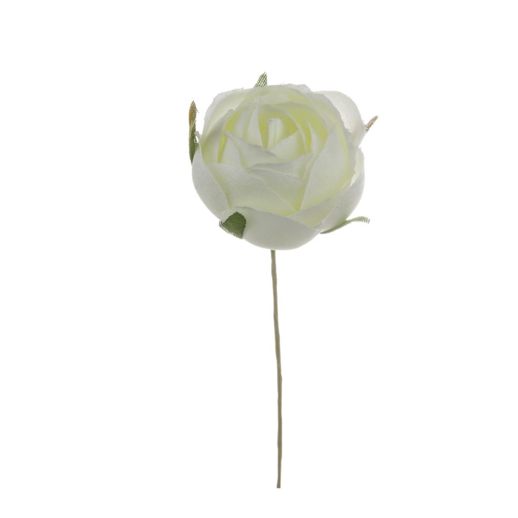 ROSELLINA PICCOLA DIA. 3